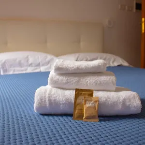 Oasi San Francesco Hotel Roma